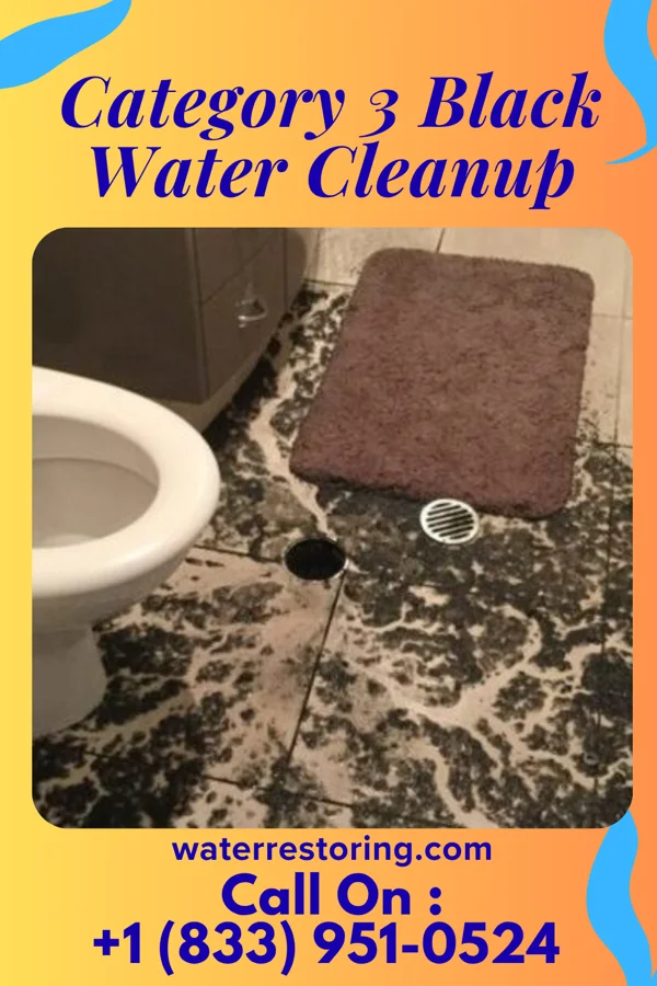 Category 3 Black Water Cleanup in Albion, MI