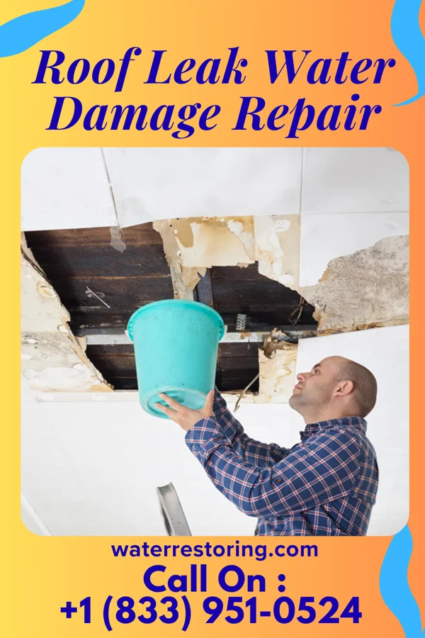 Roof Leak Water Damage Repair in Albion, MI