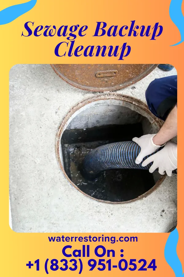 Sewage Backup Cleanup in Albion, MI